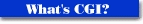 Link to a page describing what CGIs are